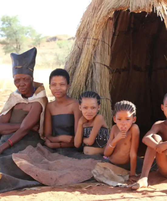 Home Bushman Community