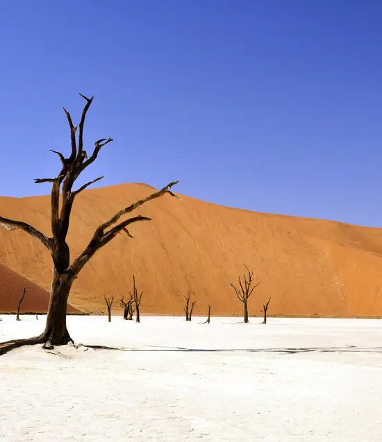 Deadvlei