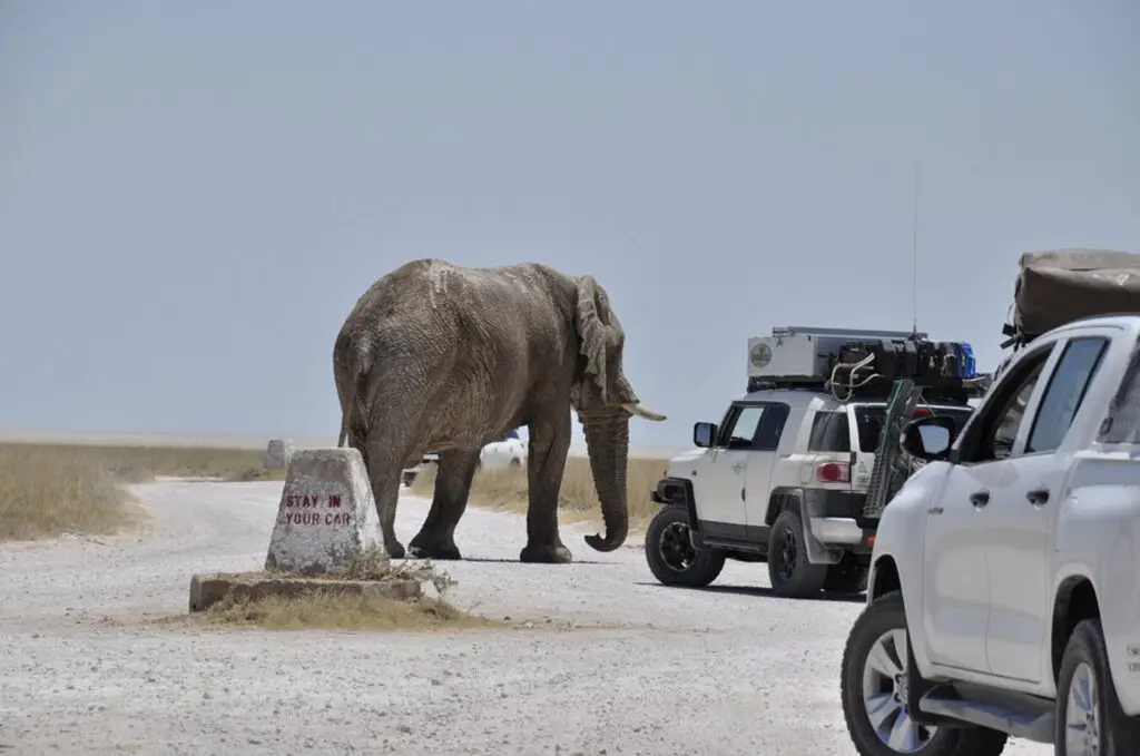 Best Places to Visit in Namibia - Essential Travel Spots Best Places to Visit in Namibia