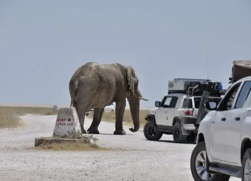 Best Places to Visit in Namibia - Essential Travel Spots Best Places to Visit in Namibia – Essential Travel Spots