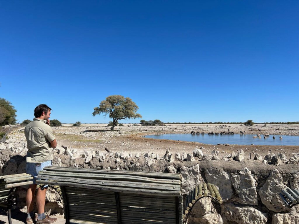 Best Time To Visit Etosha National Park Best Time To Visit Etosha National Park