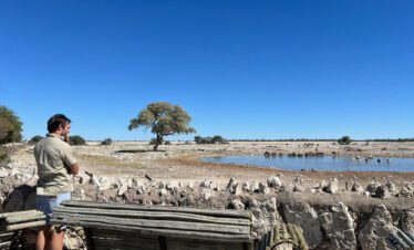 Best Time To Visit Etosha National Park