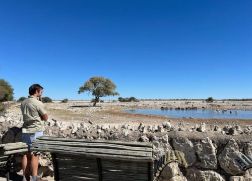 Best Time To Visit Etosha National Park Best Time To Visit Etosha National Park