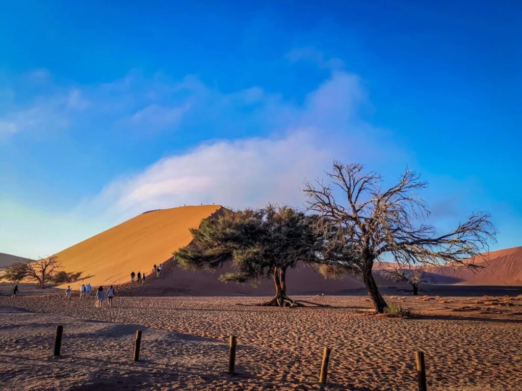 Best Time To Visit Sossusvlei Best Time To Visit Sossusvlei